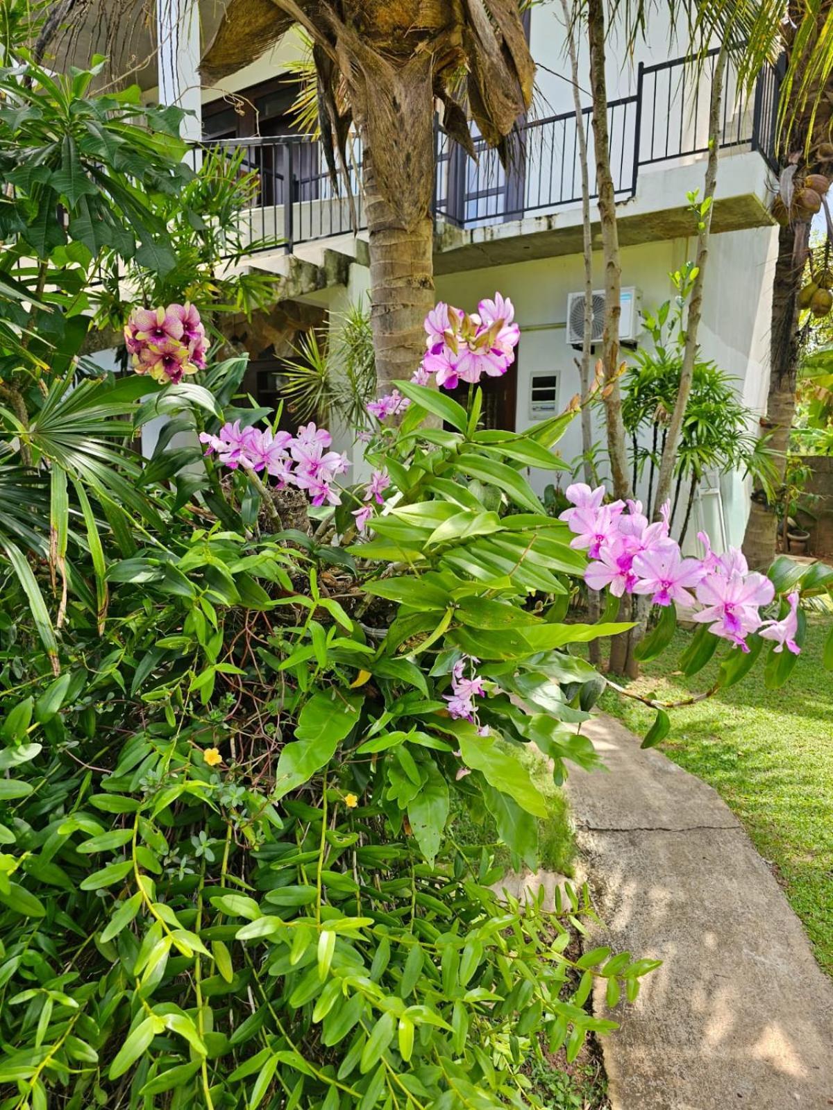 니곰보 Optimum Residencies B&B 외부 사진