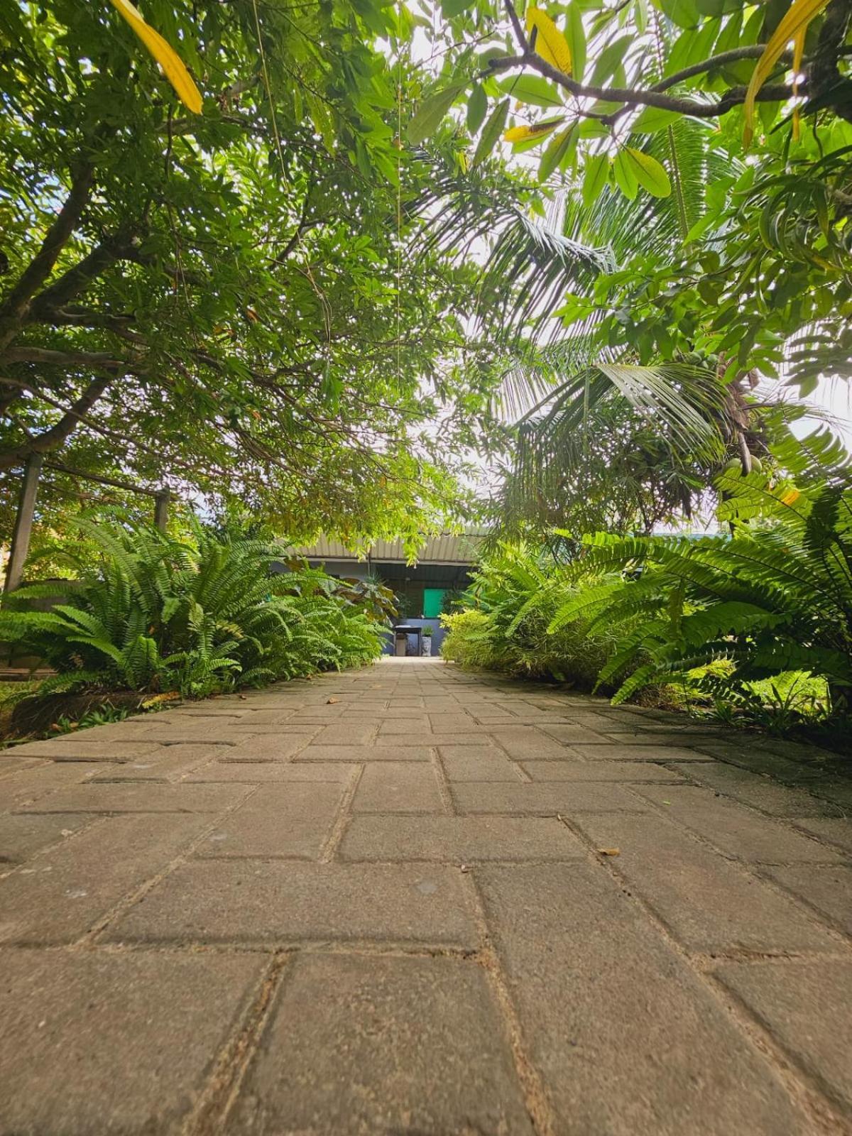 니곰보 Optimum Residencies B&B 외부 사진
